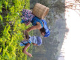/album/fotogaleria-sri-lanka-maldivy-zajezd-vy-a-my/sri-lanka-zaajzd-29-jpg1/
